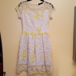 Embroided Dress